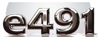 e491 logo
